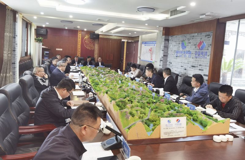 集團董事羅國書赴亭子口I標開展汛前安全檢查