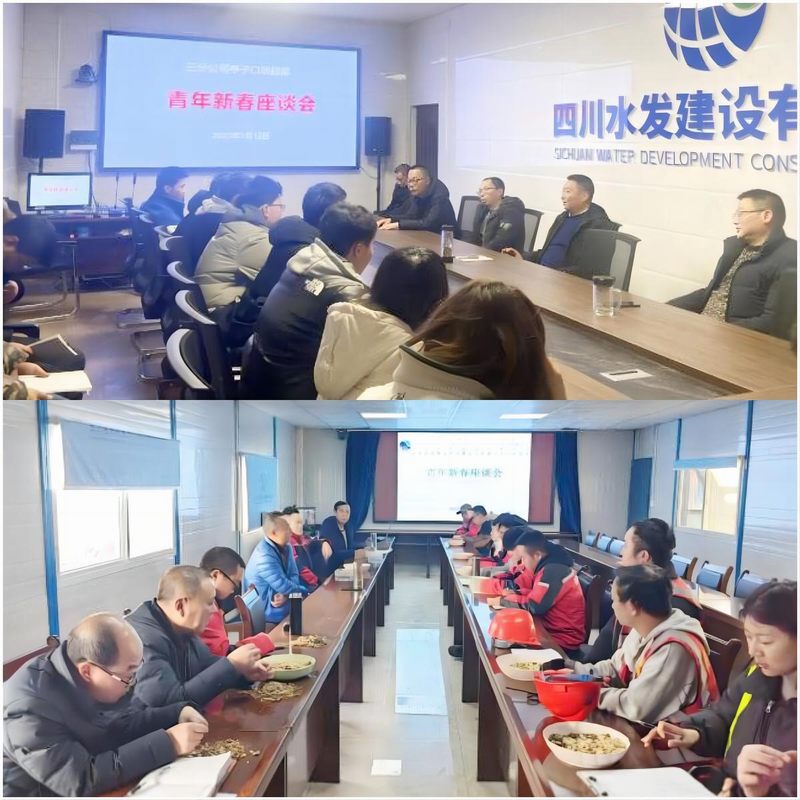 龍塘項目部黨支部和亭子口項目部第二支部聯合組織召開青年職工迎新春座談會