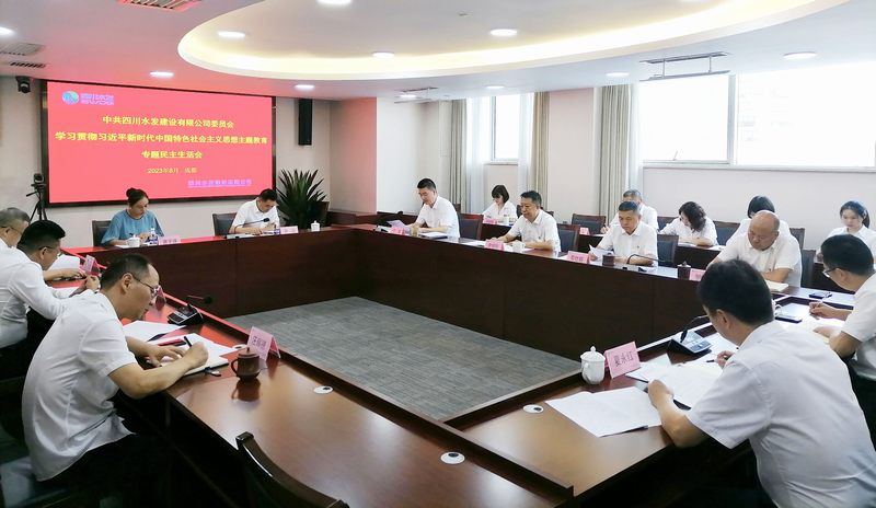 公司召開主題教育專題民主生活會